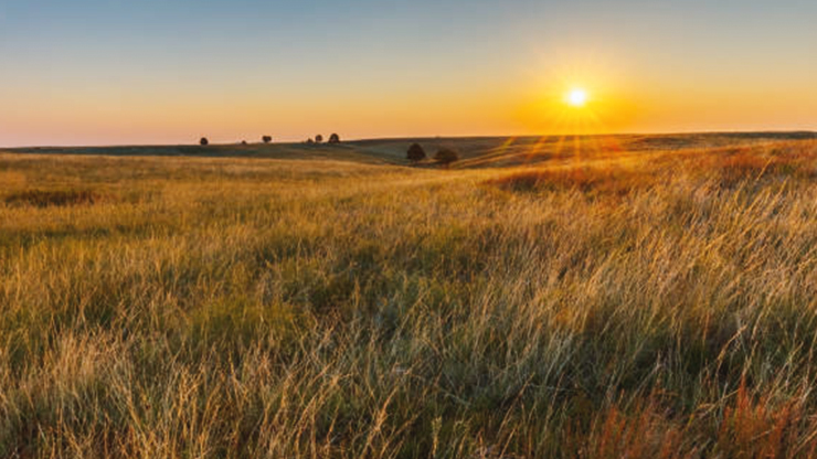 South Dakota prairie at dusk.