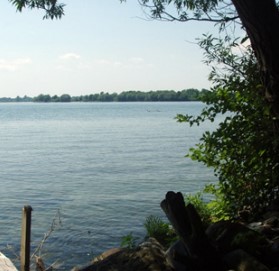 View of the St. Lawrence River on a sunny day.