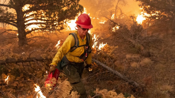 Bureau of Indian Affairs achieves presidential goal and sets new record high for removing hazardous fuel on more than 364,000 acres in FY 2020 Bureau of Indian Affairs achieves presidential goal and sets new record high for removing hazardous fuel on more than 364,000 acres in FY 2020