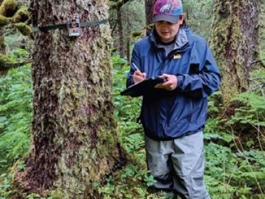 CRRC wildlife program staff member records data on a clipboard while checking a game camera attached to a moss-covered tree in a dense forest.