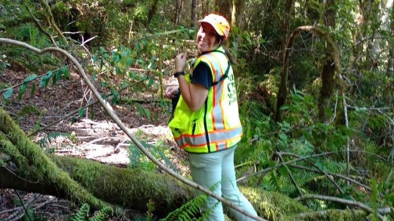Yurok Tribe Wildlife Department staff member conducting an Endangered Species Act compliance survey.