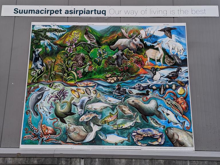 The image shows a large, colorful mural mounted on the exterior wall of the Alutiiq Pride Marine Institute. A sign above the mural reads “Suumacirpet asirpiartuq – Our way of living is the best.” The mural is divided loosely into seasonal sections labeled Spring, Summer, Fall, and Winter along the top, with land animals and plants in the upper half and marine life in the lower half. The artwork depicts a wide variety of Alaska wildlife in a vibrant, detailed style.