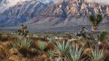 Rainbow Mountain Wilderness