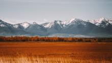 Montana Landscape