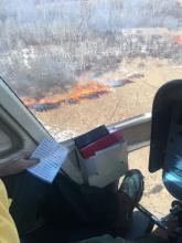 Aerial view of prescribed fire ignited by a plastic sphere dispenser Red Lake Helitack crewmembers drop plastic spheres containing potassium permanganate from the helicopter.