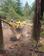 Progress of an emergency carry-out by the Navajo Interagency Hotshots. Progress of an emergency carry-out by the Navajo Interagency Hotshots. Patient #1 is moved downhill through a cut out p-line toward drop point. Photo: Randy Ostman, on-scene Safety Officer.