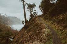 Image provided by Coral Avery Photography Coastal Cliff Trail