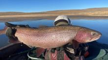 A fisherman holding up a large fish to the camera.