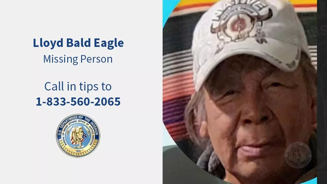 Lloyd Bald Eagle
