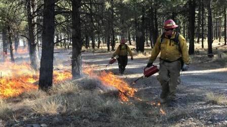 Firefighters from Fort Apache conduct a prescribed fire on a burn unit to reduce forest litter buildup, 2017.