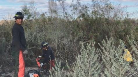 Firefighters from Fort Apache Agency remove invasive salt cedar brush from the Cocopah Reservation as part of the Southern Border Fuels Management Initiative, 2019. Image courtesy of the Cocopah Indian Tribe. Firefighters from Fort Apache Agency remove invasive salt cedar brush from the Cocopah Reservation as part of the Southern Border Fuels Management Initiative, 2019. Image courtesy of the Cocopah Indian Tribe.