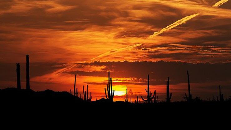 Arizona Sunset