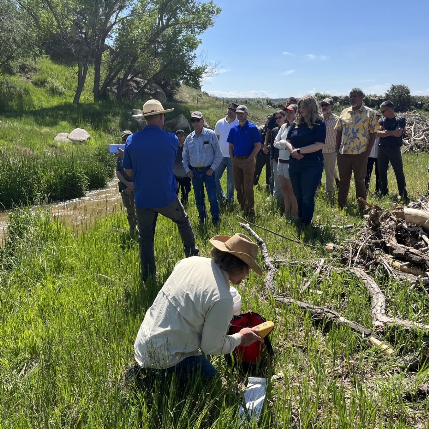 Group of regional BIA Branch of Fisheries, Wildlife and Recreation staff standing in tall grass along a stream, observing a demonstration by Southern Ute Tribe's Natural Resource Dept.