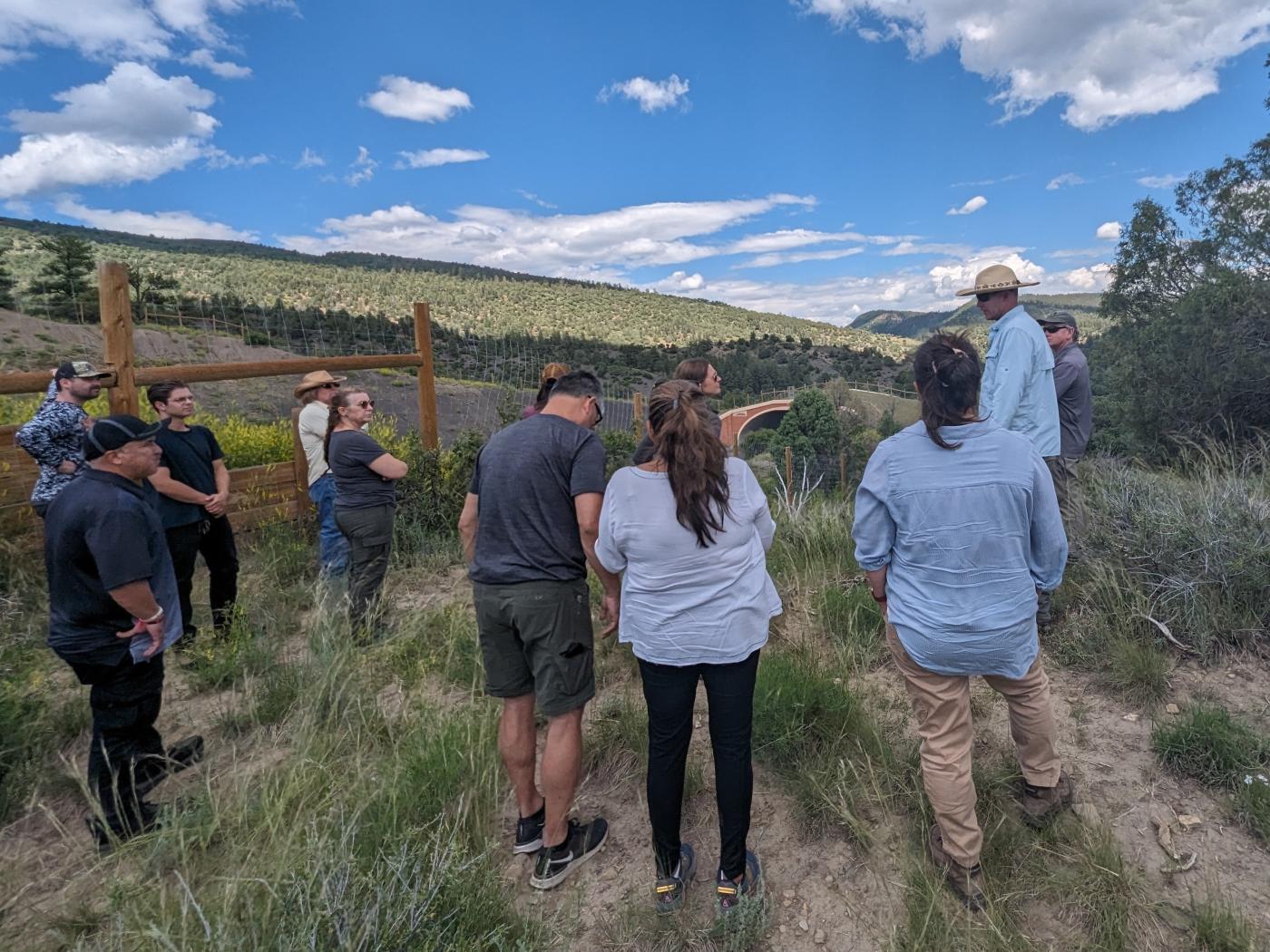 Group of BIA BFWR regional staff gathered atop a hill overlooking a wildlife corridor that crosses over a major highway.
