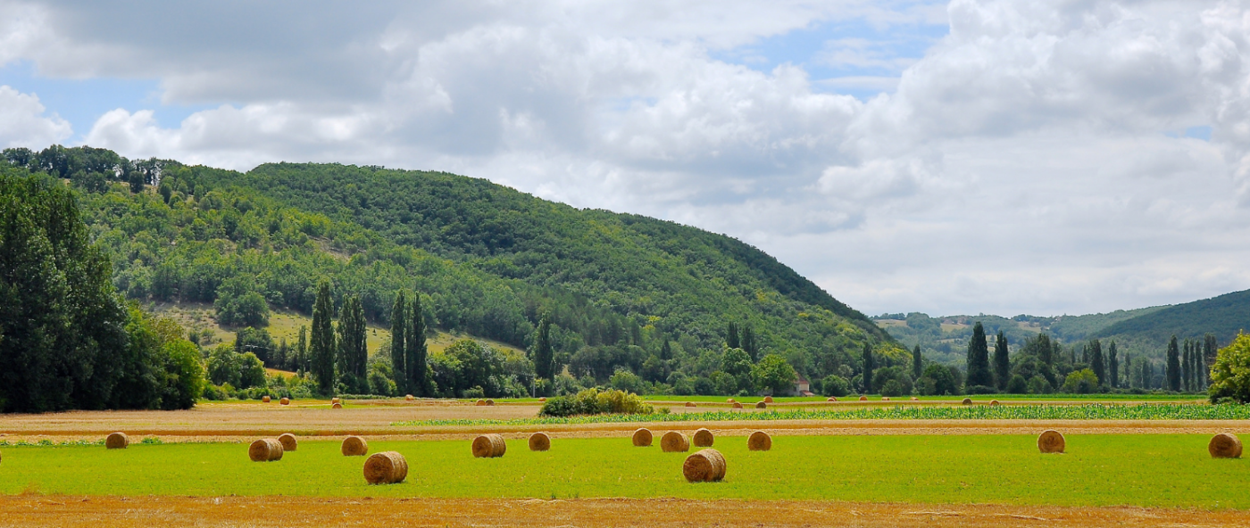 An agricultural landscape with rolling hills and scattered bales of hay on a sunny day.