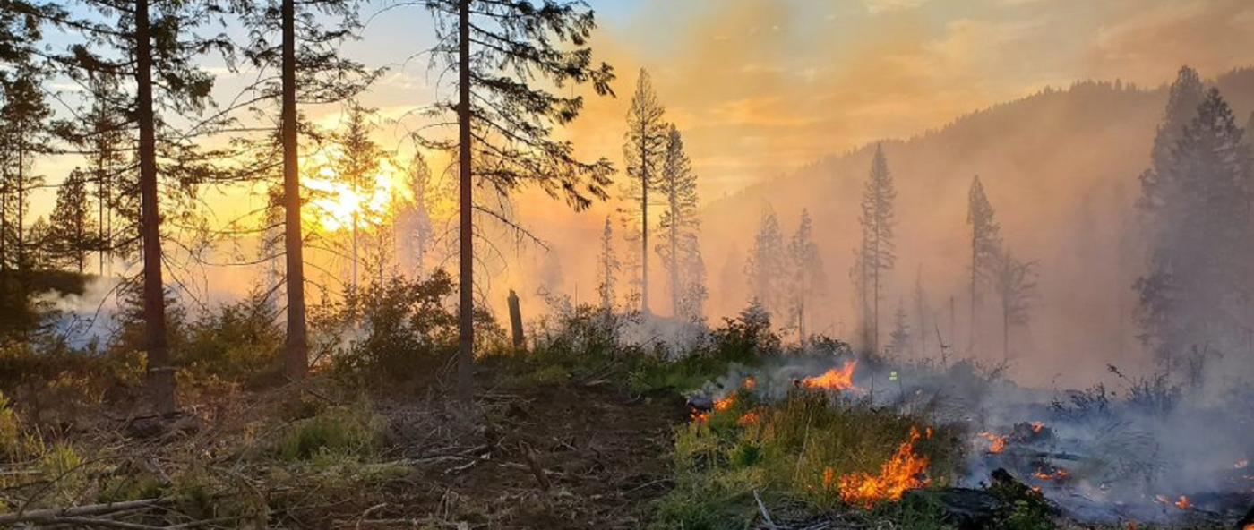 The sun sets over a smoky, fiery landscape behind the silhouettes of pine trees.