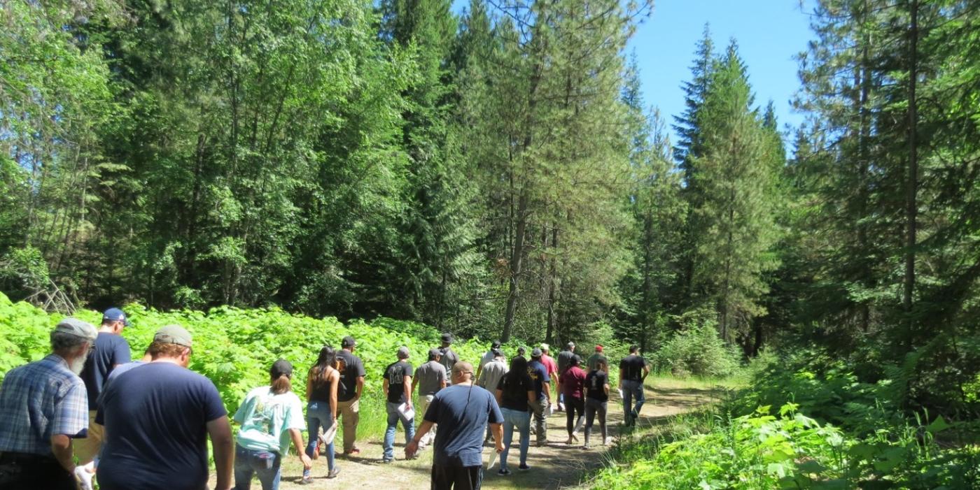 Crowd hiking through forested path.