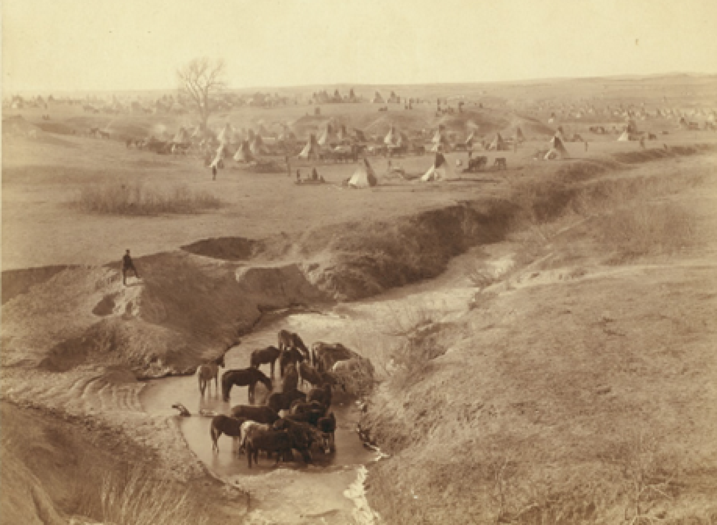 A Lakota tipi camp near Pine Ridge