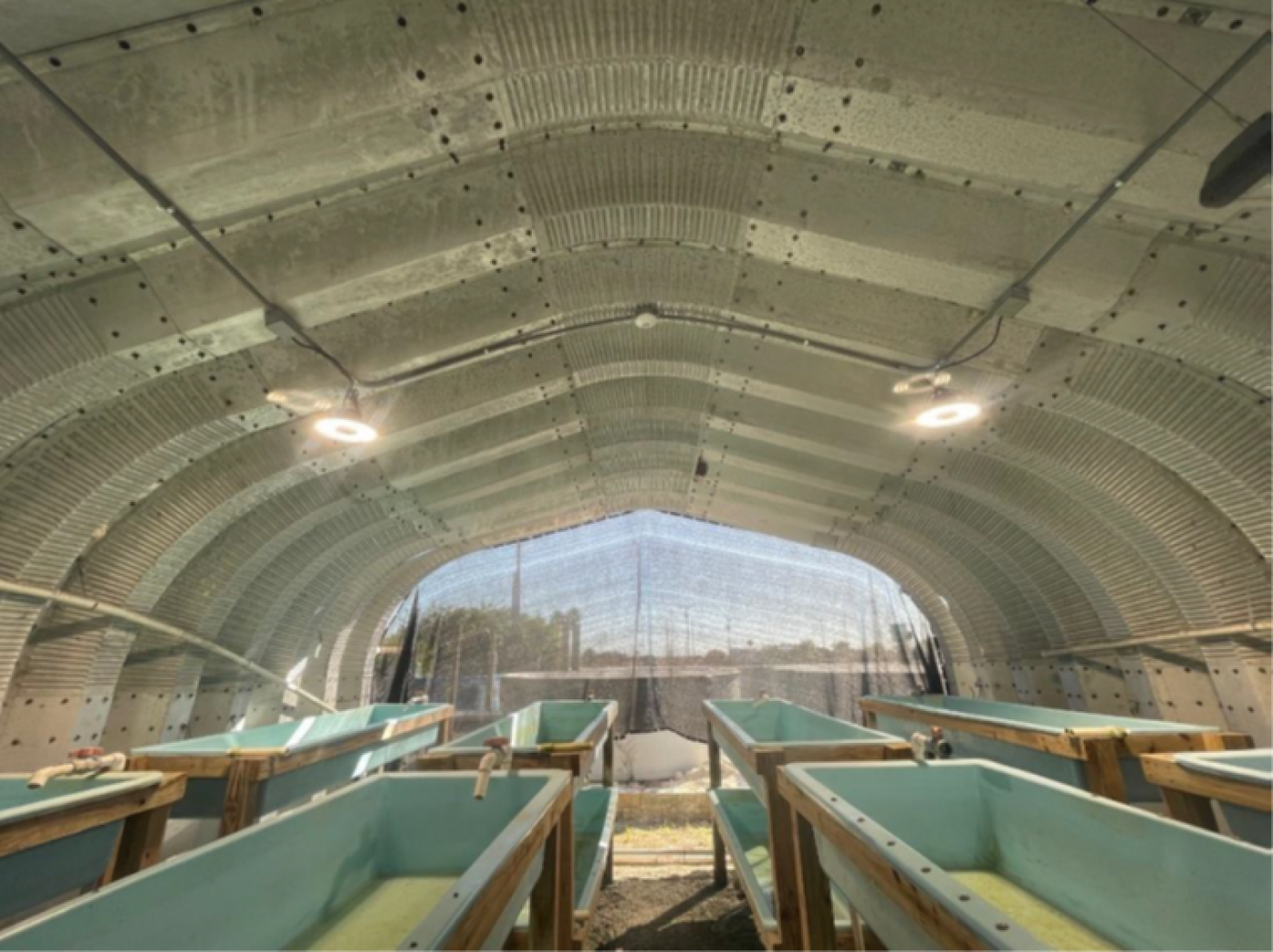 LED lights and ceiling-mounted motion sensors positioned above water tables at a fish hatchery.