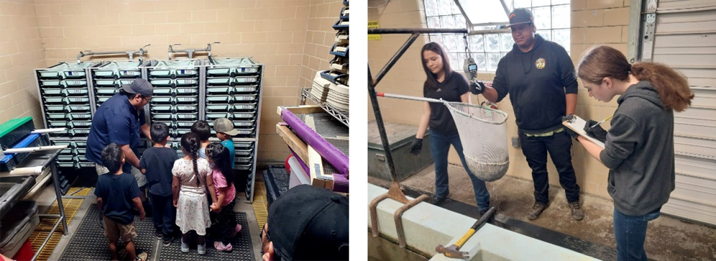Mescalero Tribal Fish Hatchery. Students visit the hatchery.