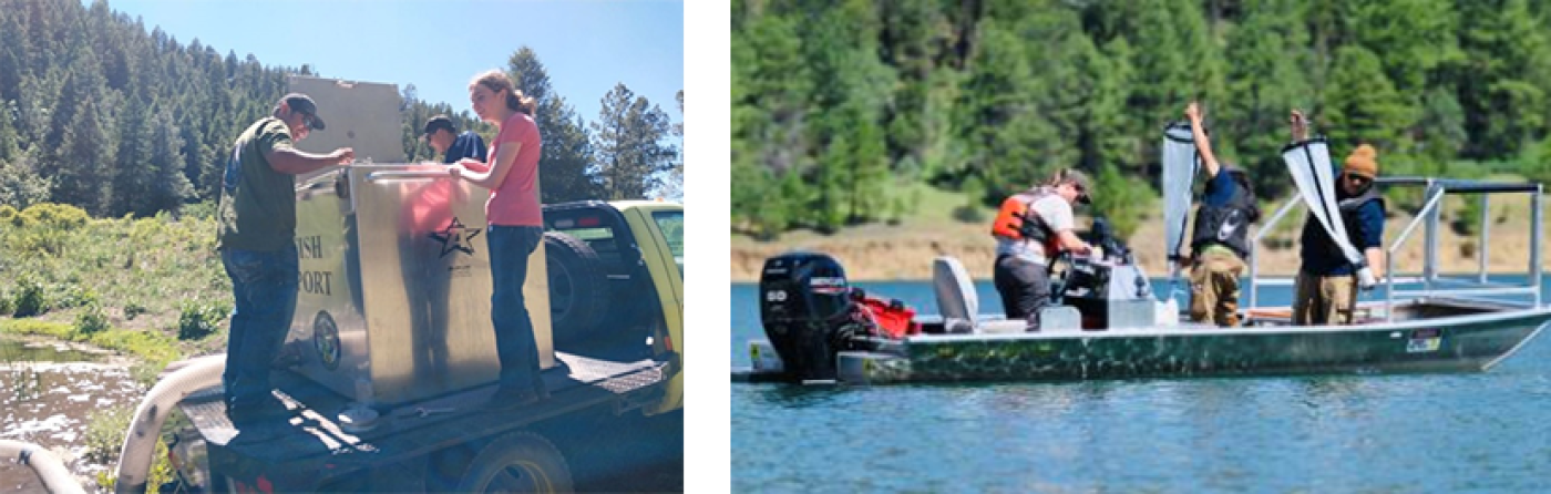 Mescalero Tribal Fish Hatchery. Students visit the hatchery.