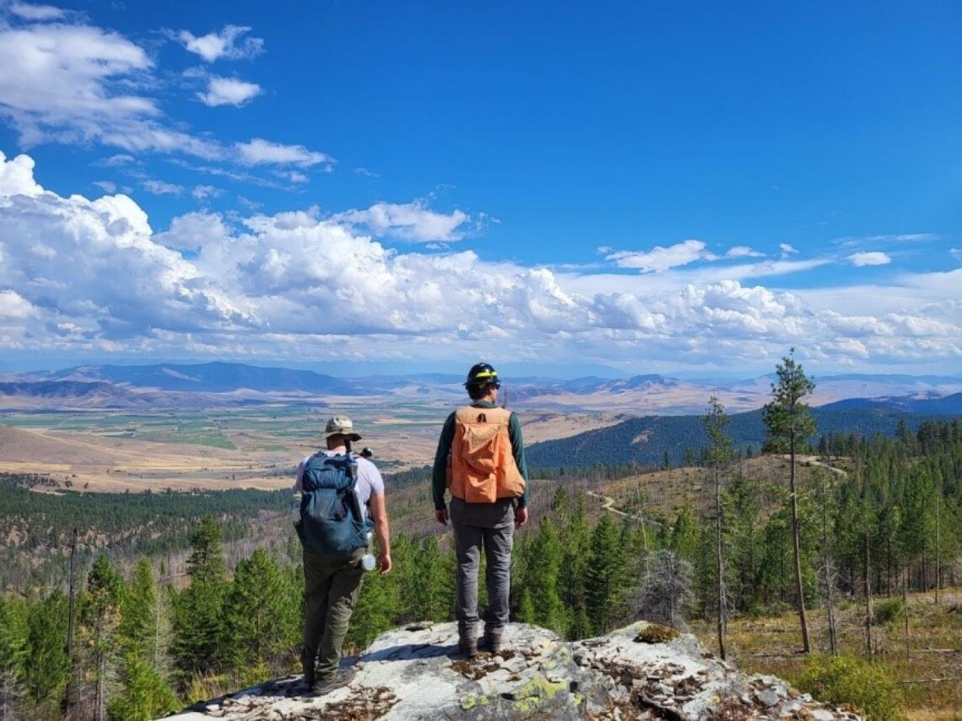 Timber Team members observing fire damage to forested Trust Lands of the Confederated Salish and Kootenai Tribes of the Flathead Reservation