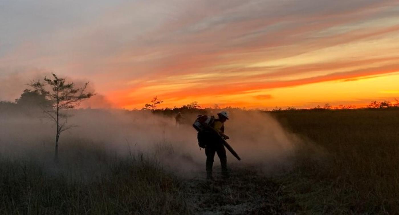 A firefighter works on a prescribed burn at sunset.