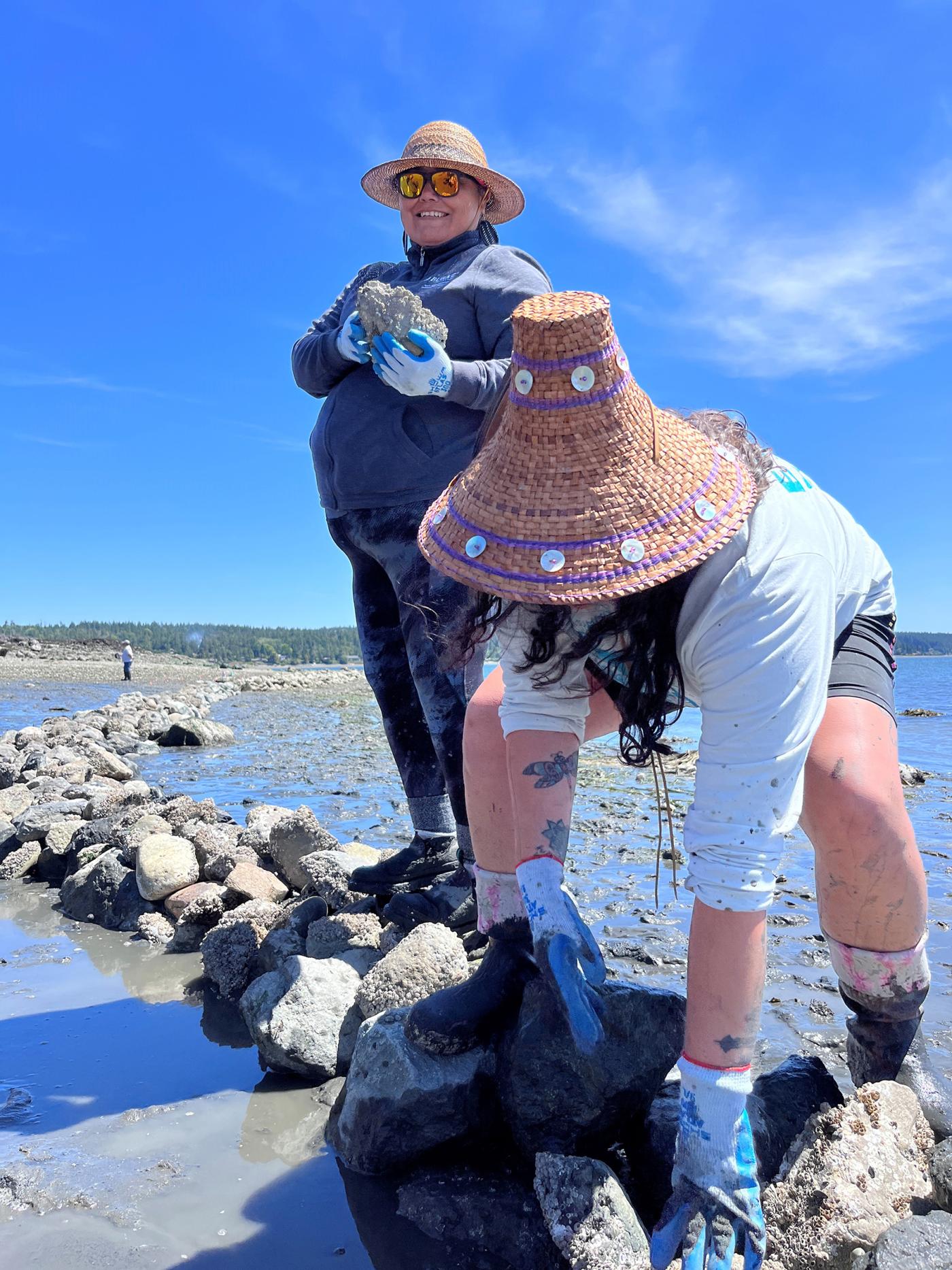 Swinomish Indian Tribal Community members, Josephine Jefferson and Alana Quintasket, add rocks to the clam garden wall during a gathering of Indigenous aquaculture practitioners. Photo Credit: Swinomish Fisheries Department. 