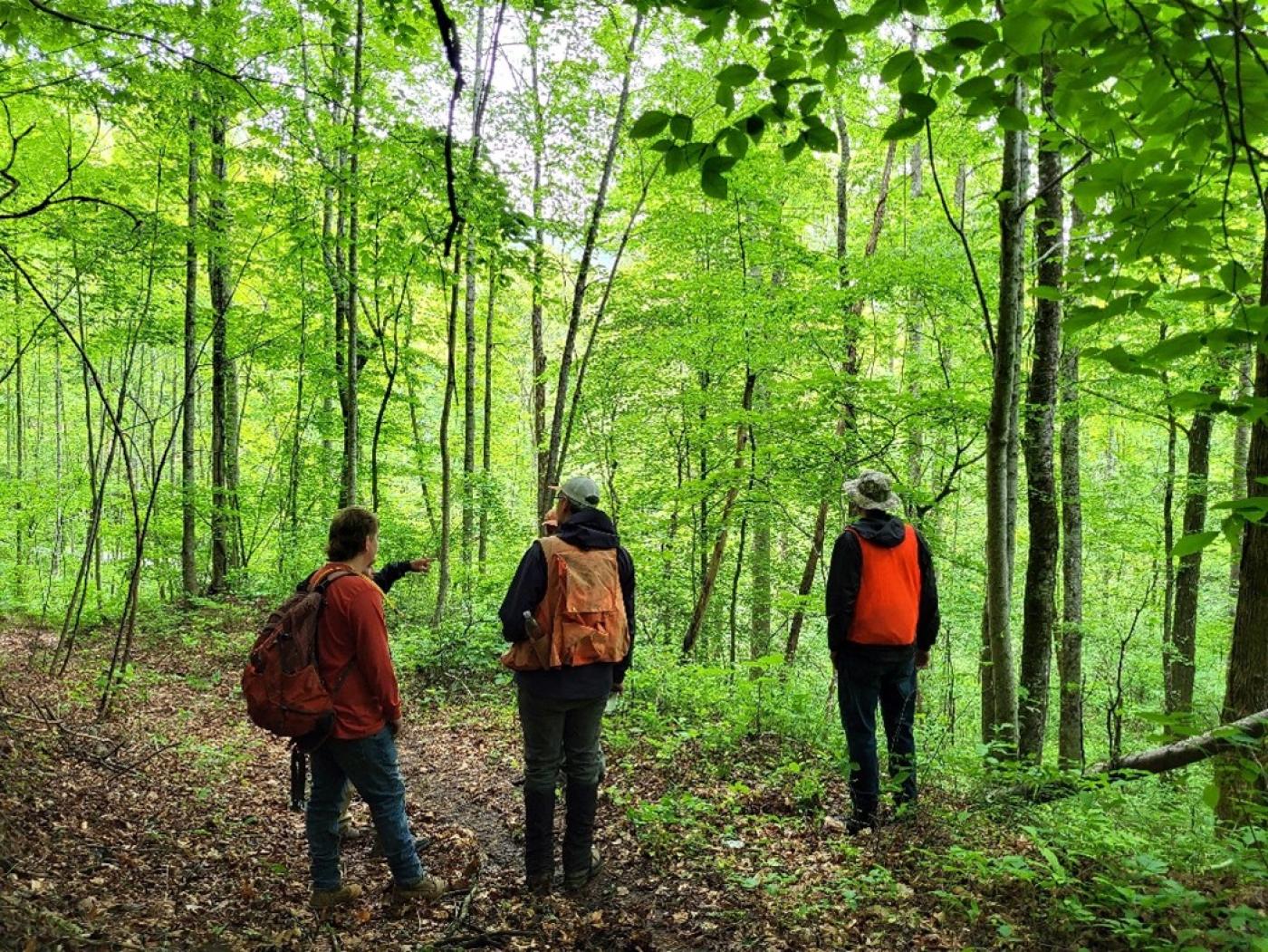 Timber Team discussing silvicultural prescription options on a timber sale for the Eastern Band of Cherokee Indians in North Carolina.