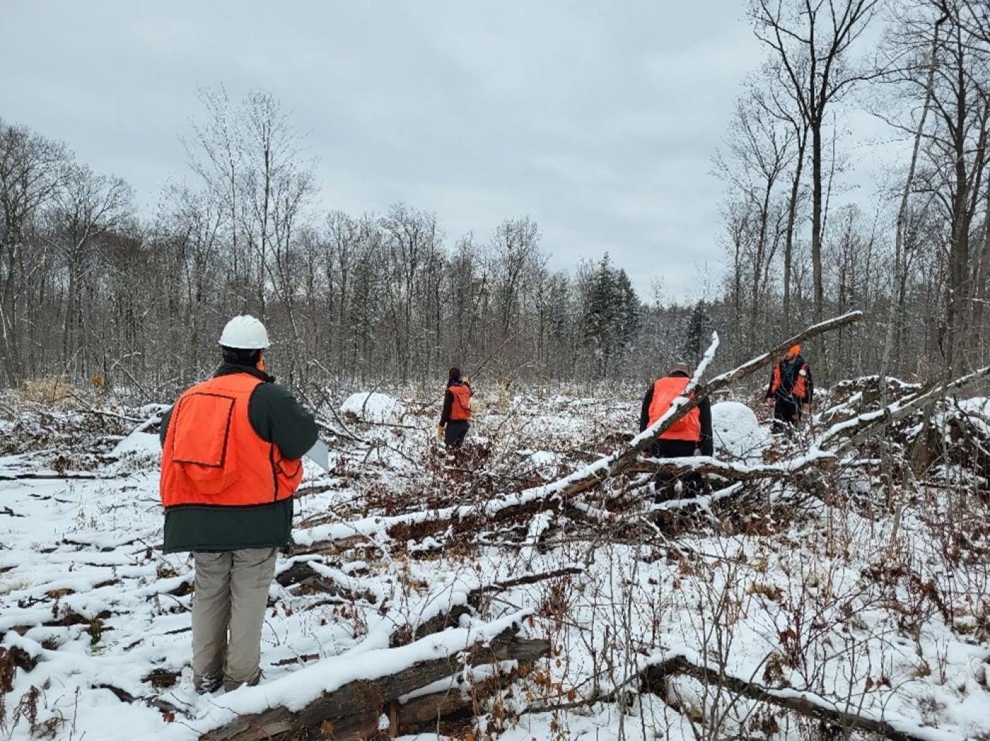 Timber Team assisting the Stockbridge-Munsee Community of Wisconsin to assess CFI plot damage after an extreme windstorm event.